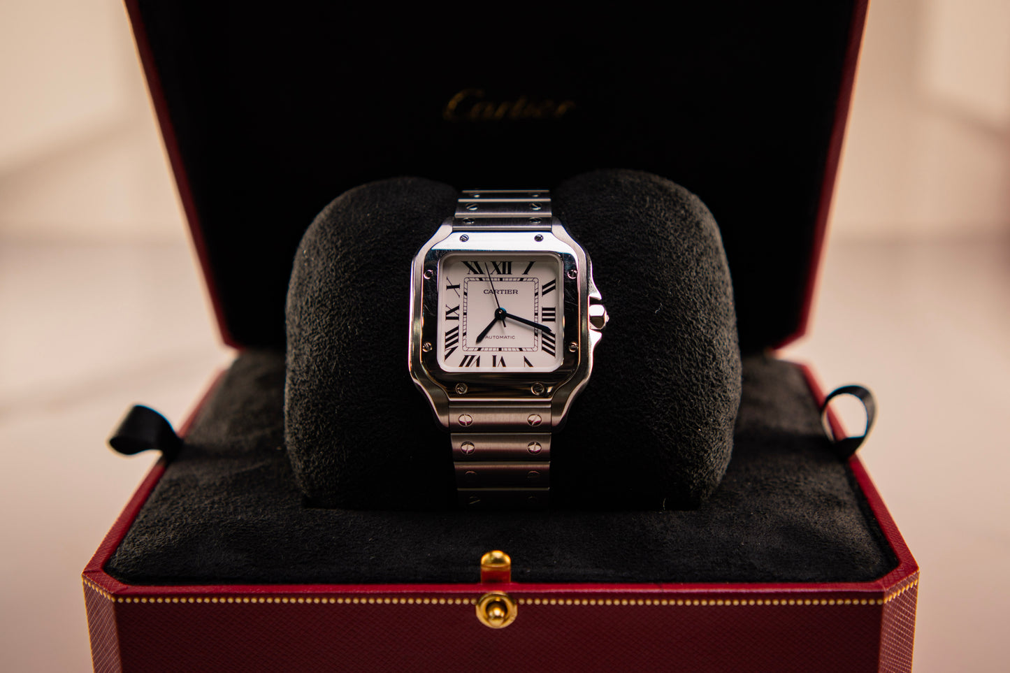 2023 Cartier Santos Medium WSSA0029