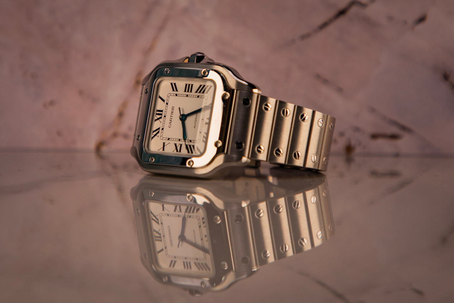 2023 Cartier Santos Medium WSSA0029