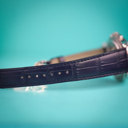 Patek Philippe Salmon Dial 5270P-001