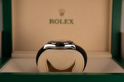 2024 Rolex Daytona Ghost 126519LN